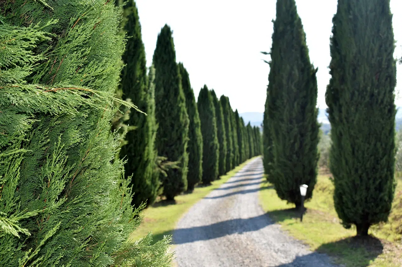 buy a house in Tuscany