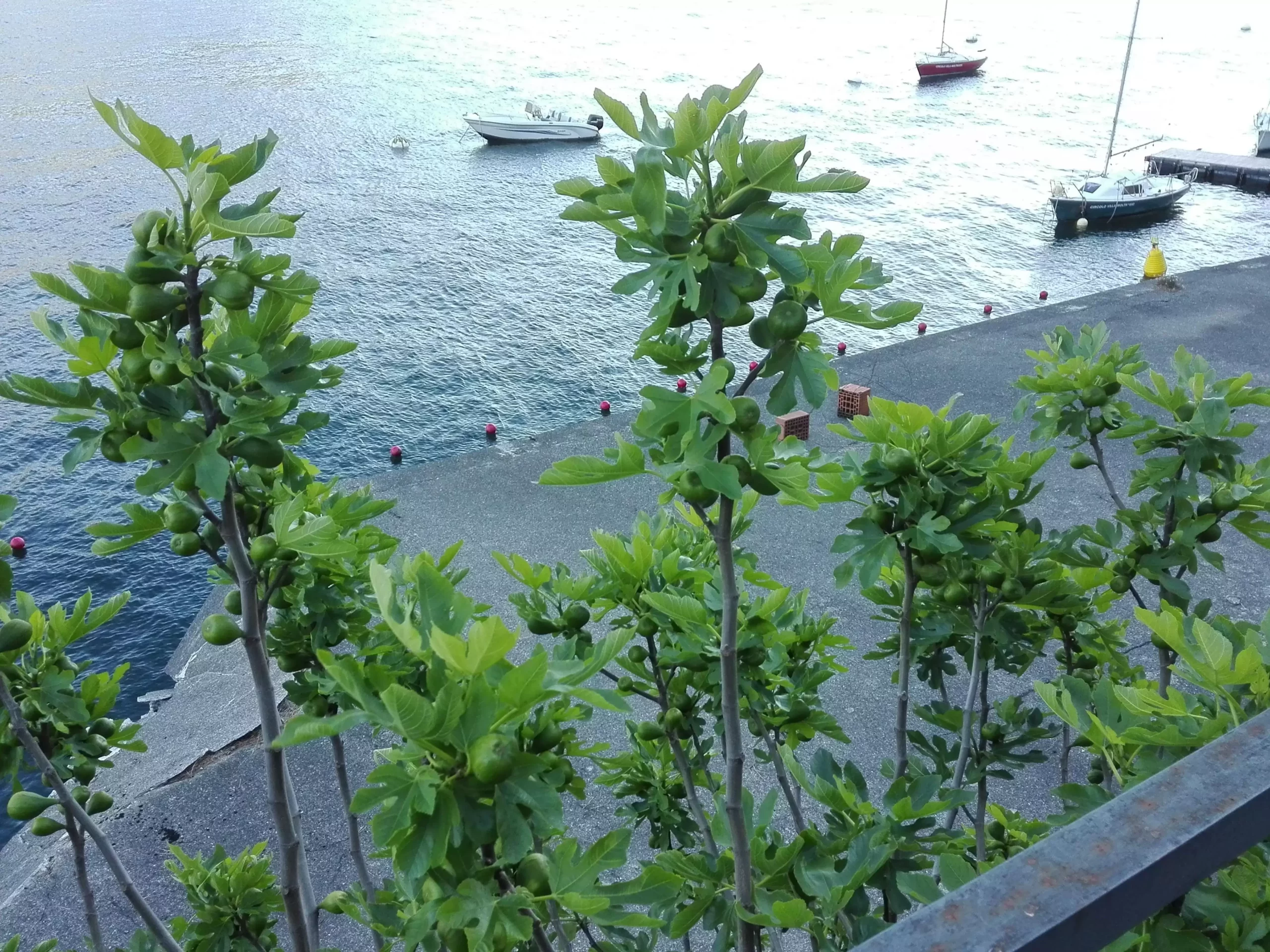 buy a house overlooking Lake Como